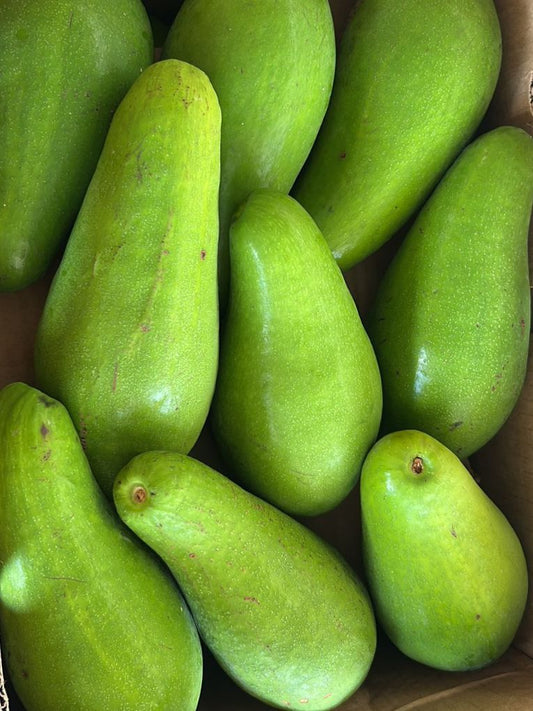 Avocado