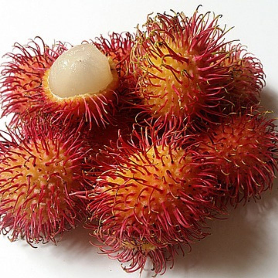 Rambutan