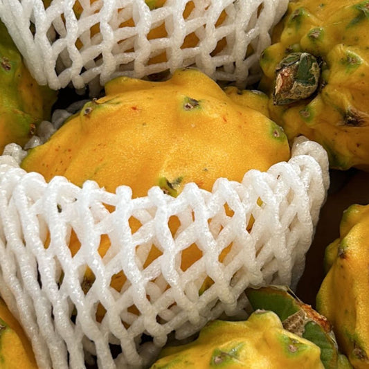 Yellow Dragon Fruit